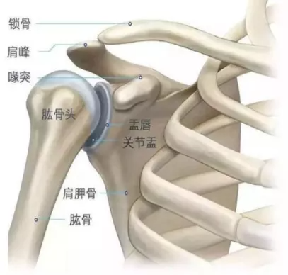 凯发k8国际首页(中国)官网登录入口