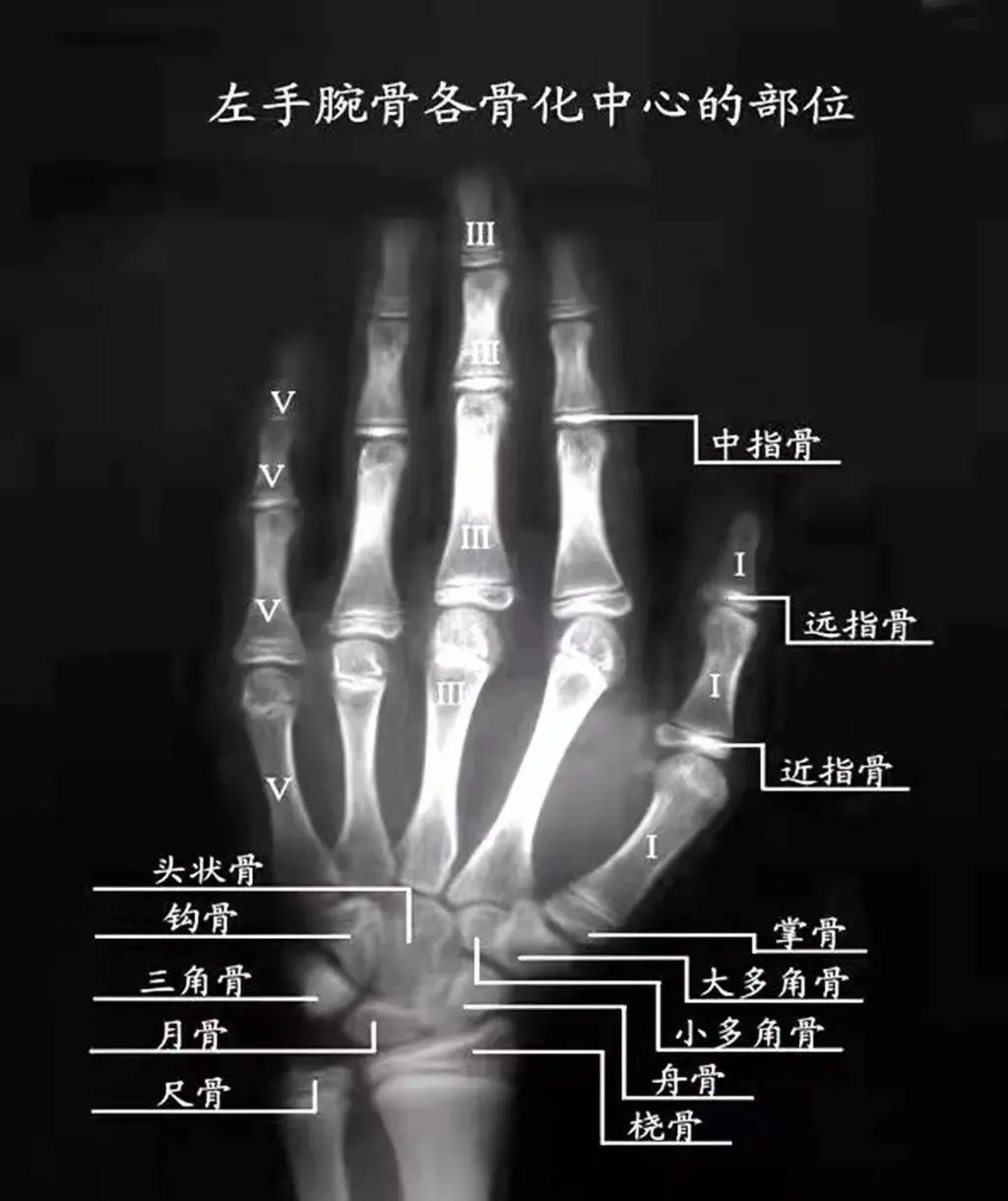 凯发k8国际首页(中国)官网登录入口